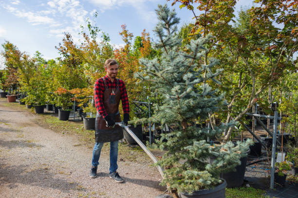 Best Tree Risk Assessment  in Red Bay, AL